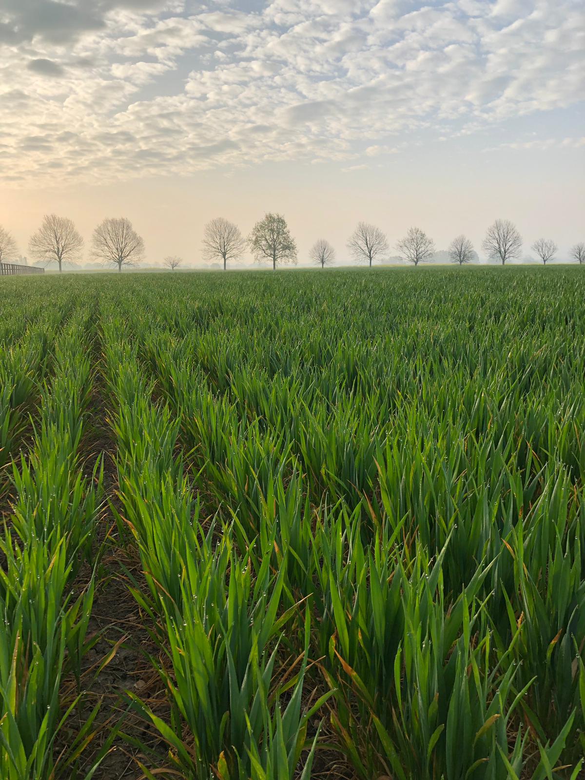 Fertiliser Focus – 28th September 2020