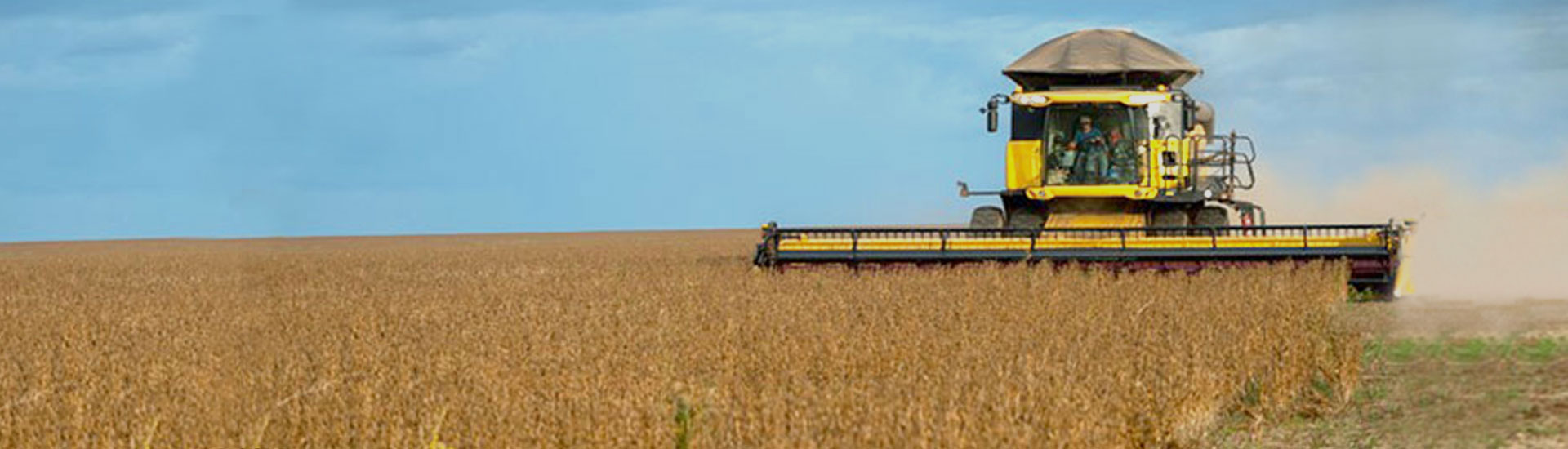 COFCO UK Grains Report – 25/01/2021