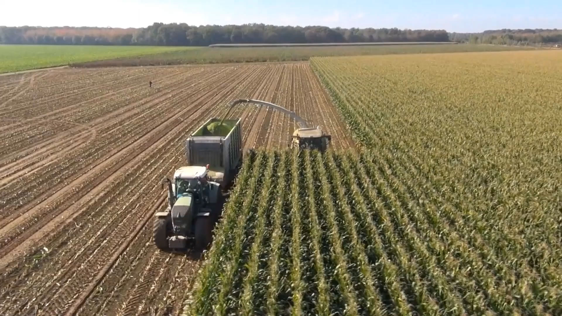 COFCO UK Grains Report – 23/12/2020