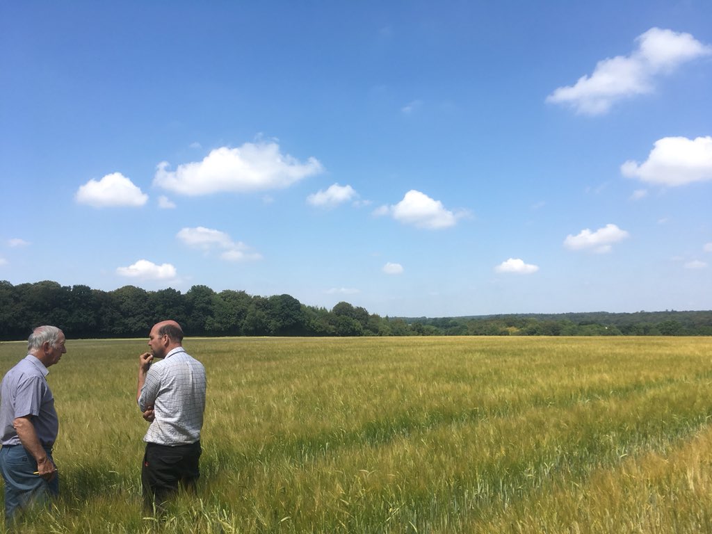 Fertiliser Focus – 29th June 2020