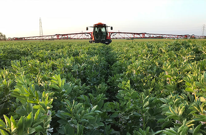 Fertiliser Focus – 14th April 2020
